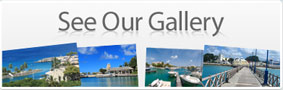 See our gallery